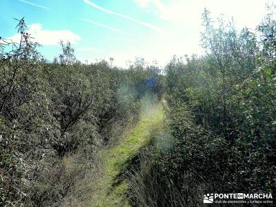 Hospitalillo a El Atazar; Senda Genaro; montañismo madrid senderismo guadarrama